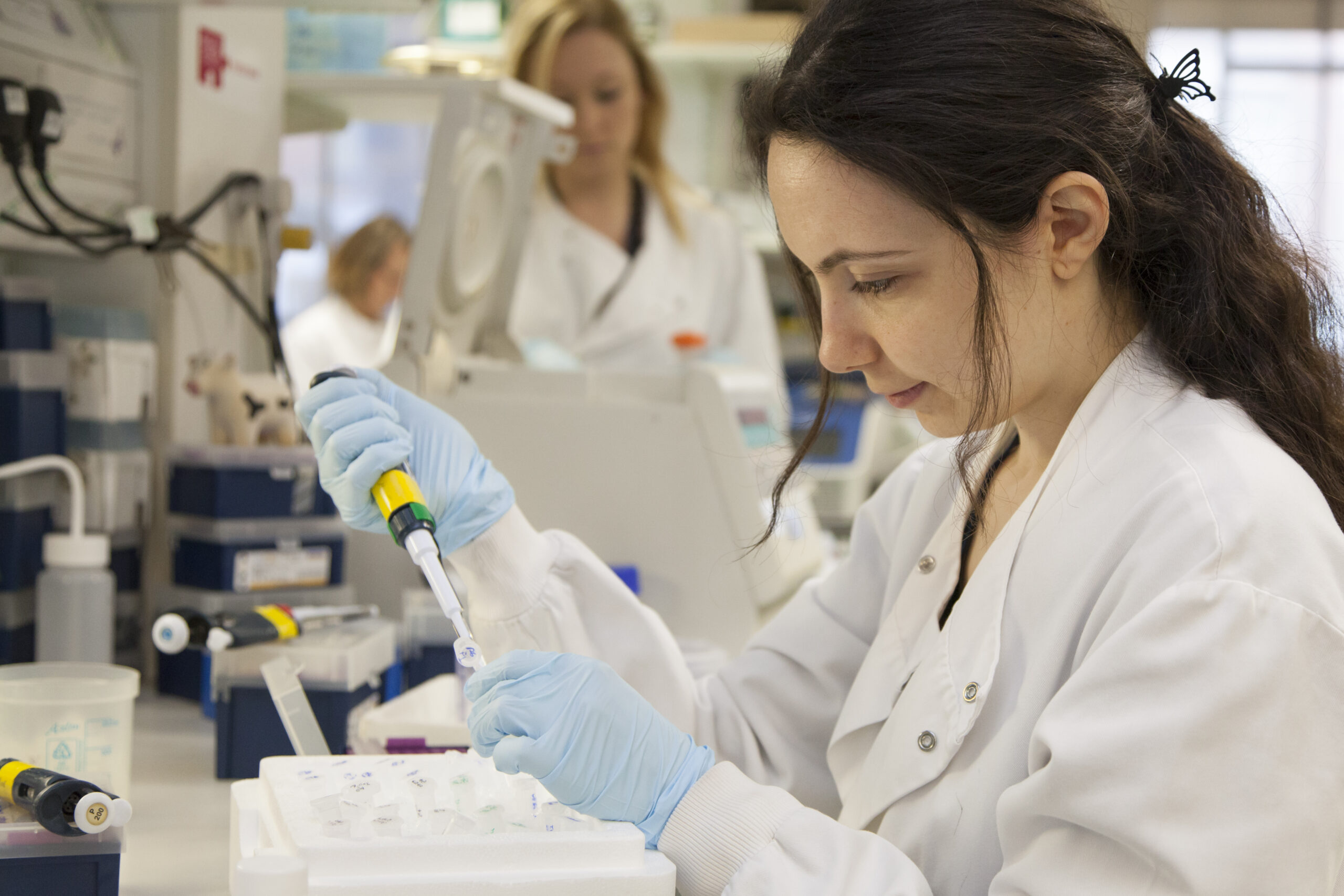 Researcher