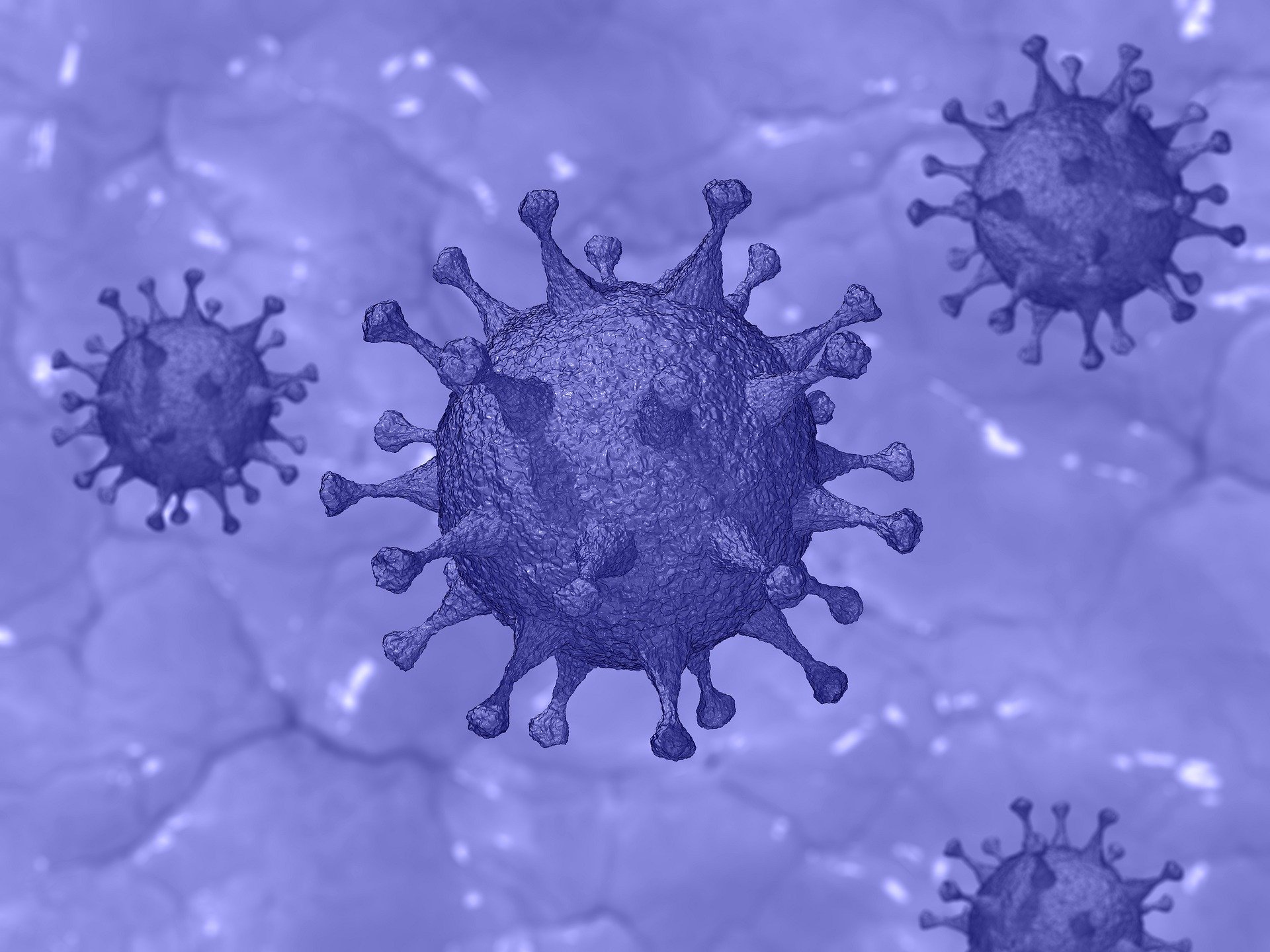 COVID-19 cells