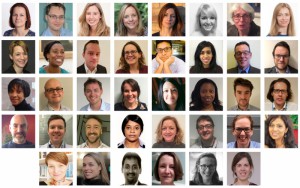 2017 Improvement Fellows