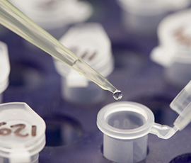 Pipette and test tube